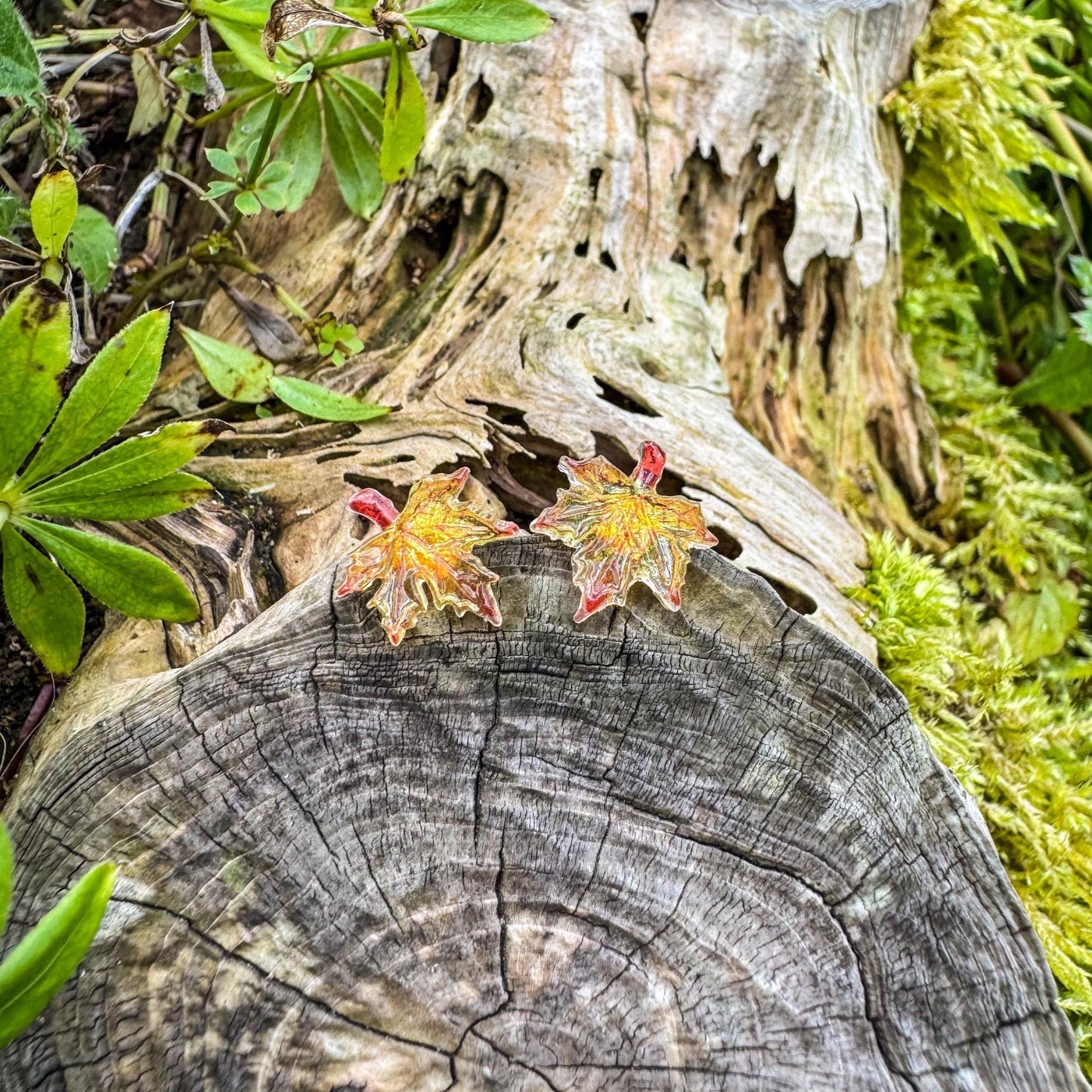 Niedliche Ahorn-Ohrstecker - Handgefertigtes Schmuckstück mit kleinen Blättern 🍁