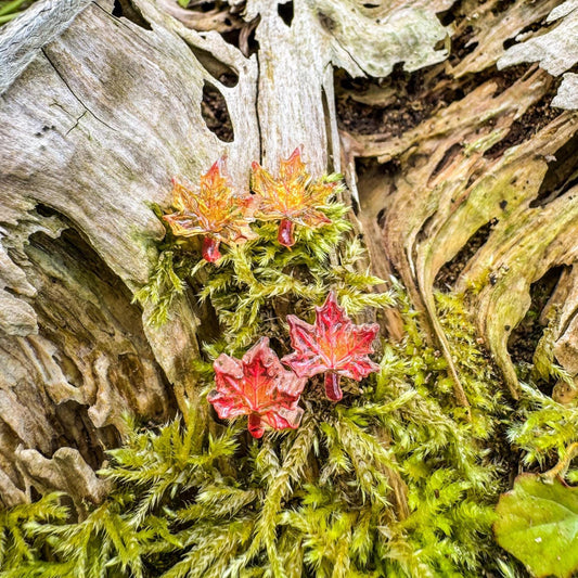 Niedliche Ahorn-Ohrstecker - Handgefertigtes Schmuckstück mit kleinen Blättern 🍁