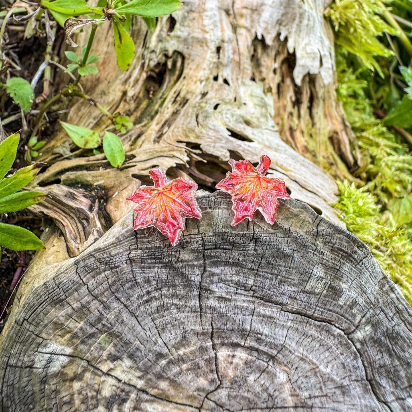 Niedliche Ahorn-Ohrstecker - Handgefertigtes Schmuckstück mit kleinen Blättern 🍁