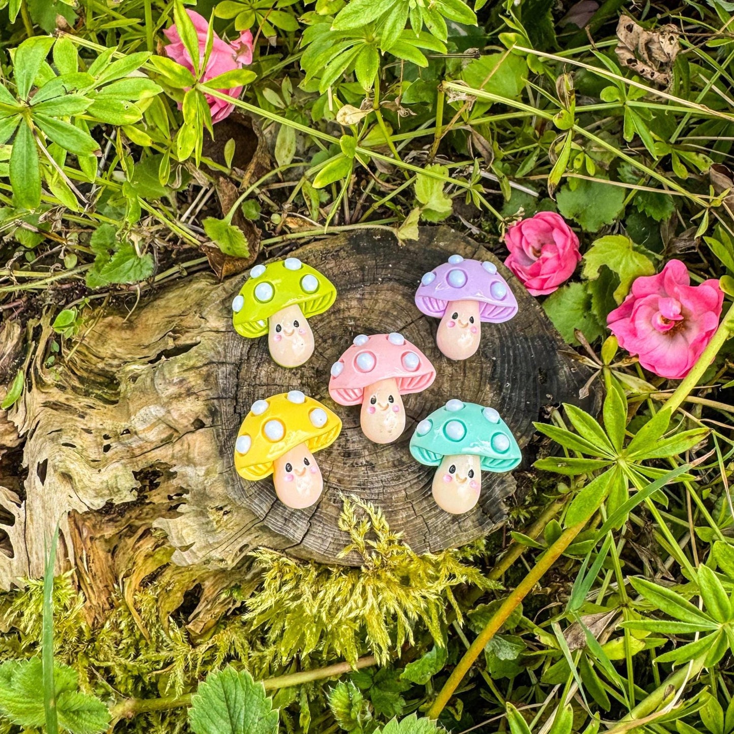 Niedliche Pilz-Magnete - Bunte Freude für dein Zuhause 🍄 - 3er-Set