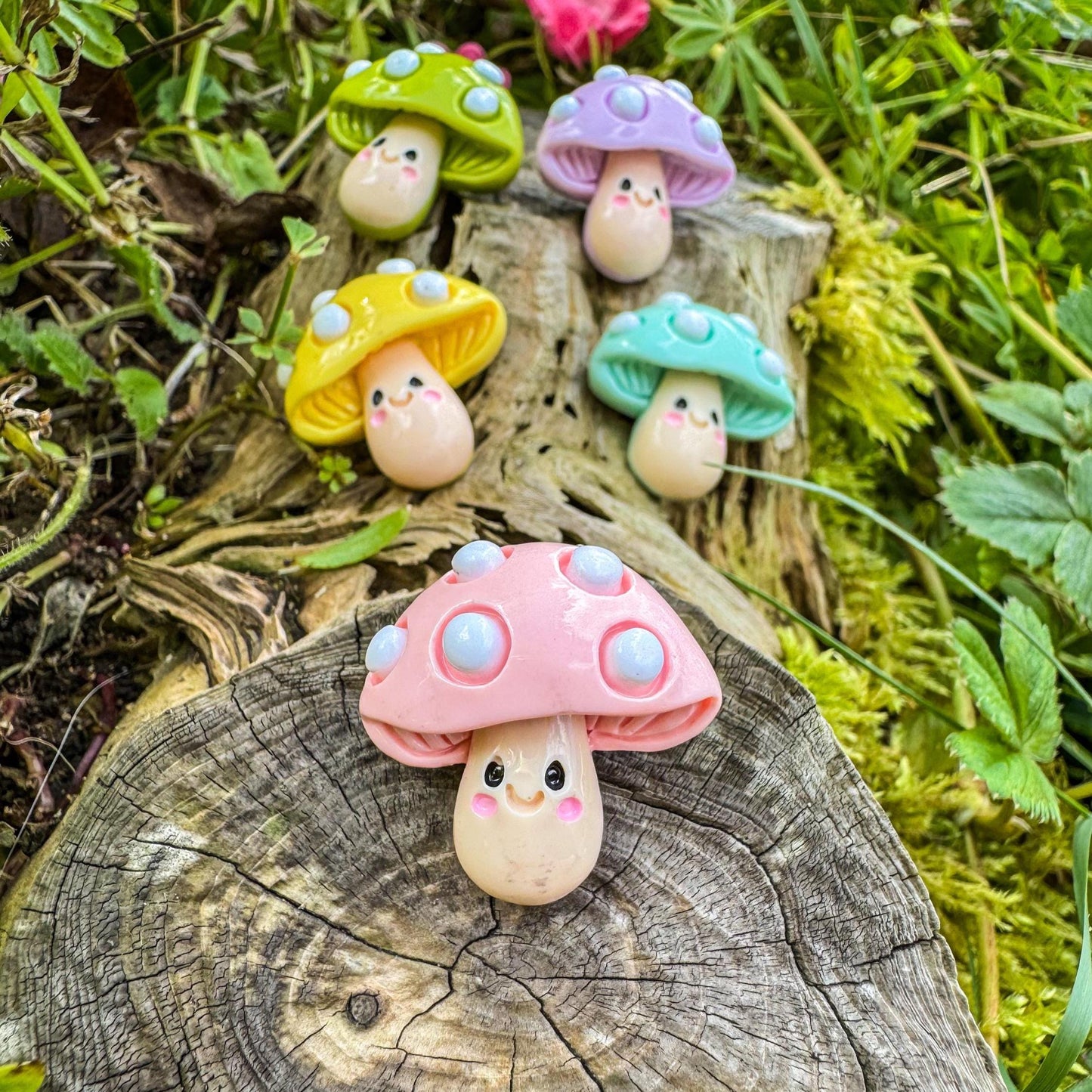 Niedliche Pilz-Magnete - Bunte Freude für dein Zuhause 🍄 - 3er-Set