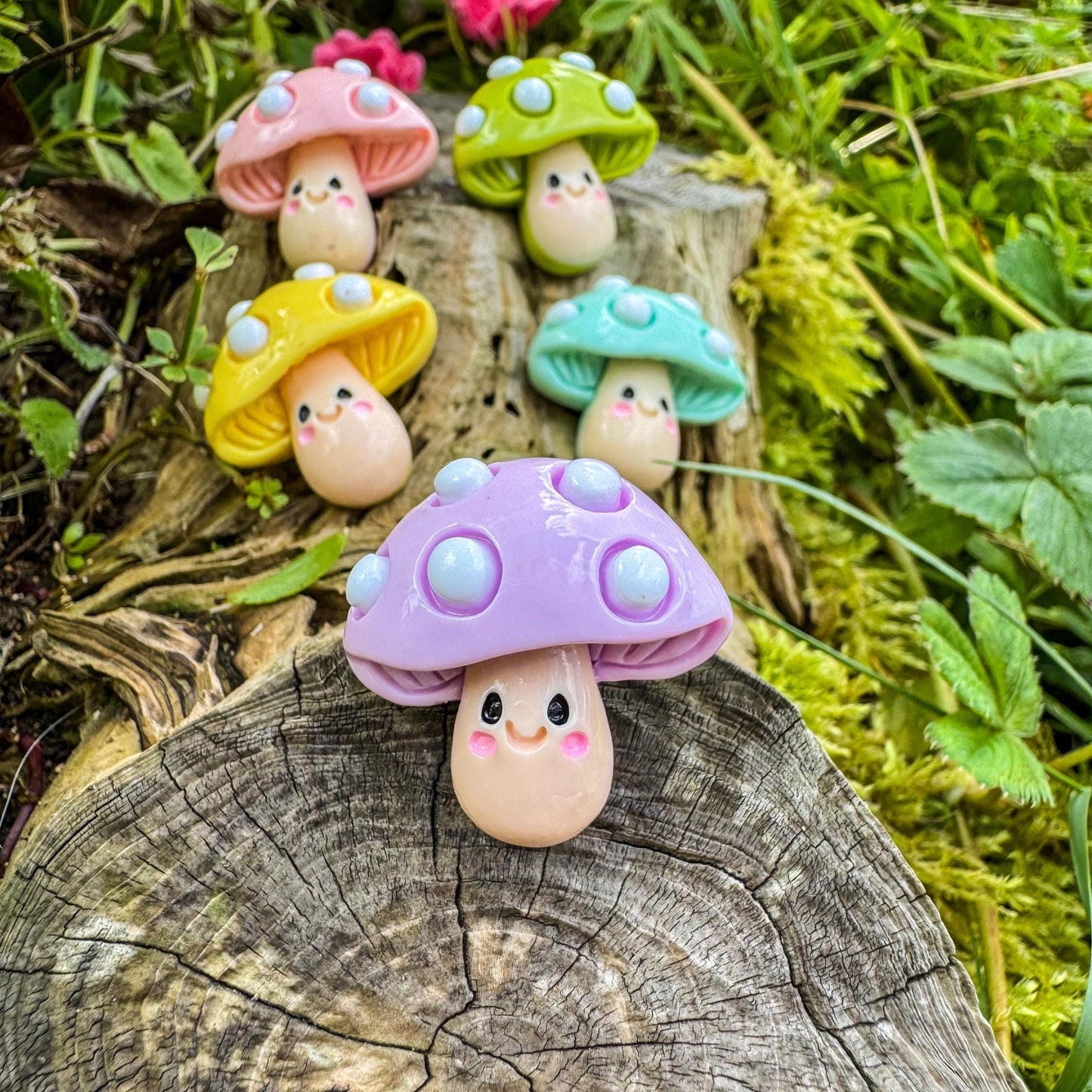 Niedliche Pilz-Magnete - Bunte Freude für dein Zuhause 🍄 - 3er-Set