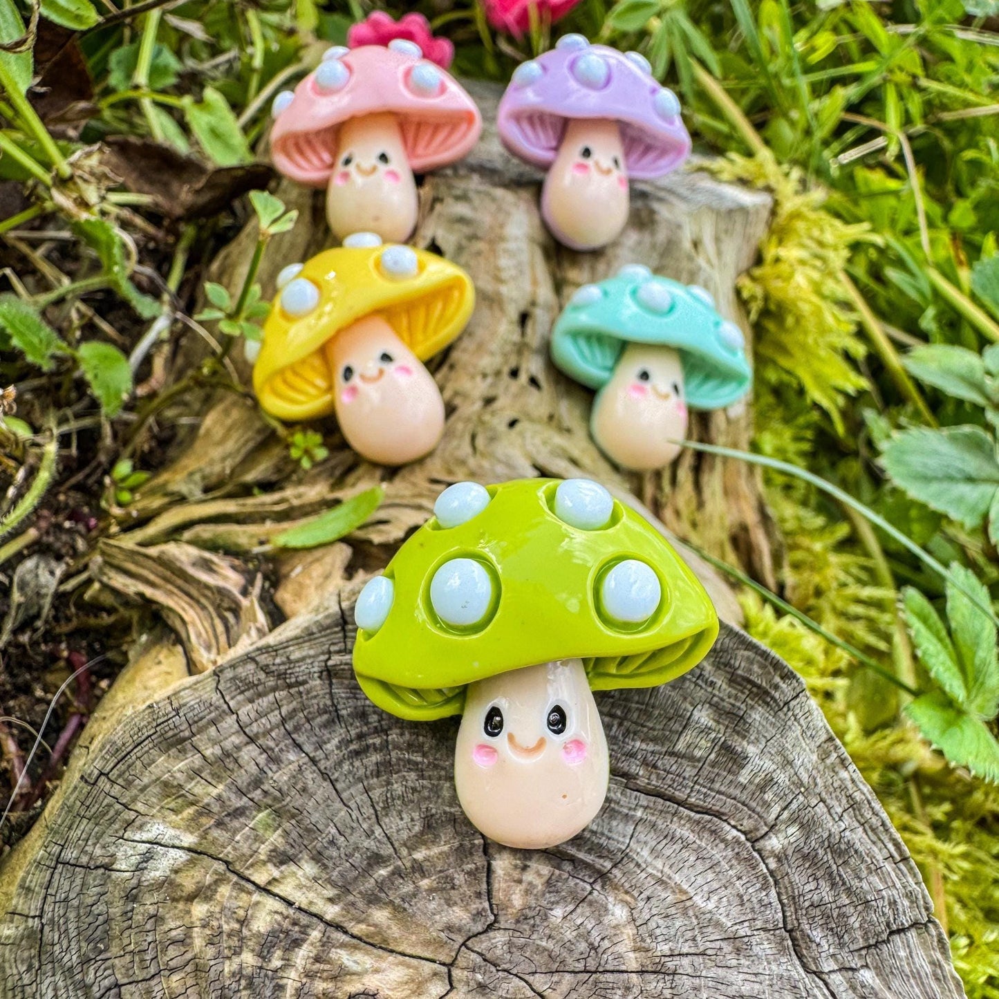 Niedliche Pilz-Magnete - Bunte Freude für dein Zuhause 🍄 - 3er-Set