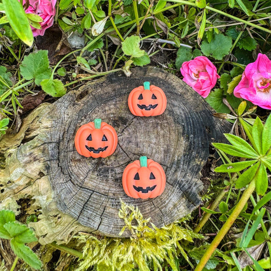 Kleine Kürbis-Magnete - Herbstliches Accessoire für dein Zuhause 🎃 - 3er-Set