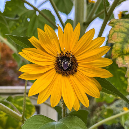 Amethyst-Armband - Zartes Schmuckstück mit natürlichem Amethyst 💜✨