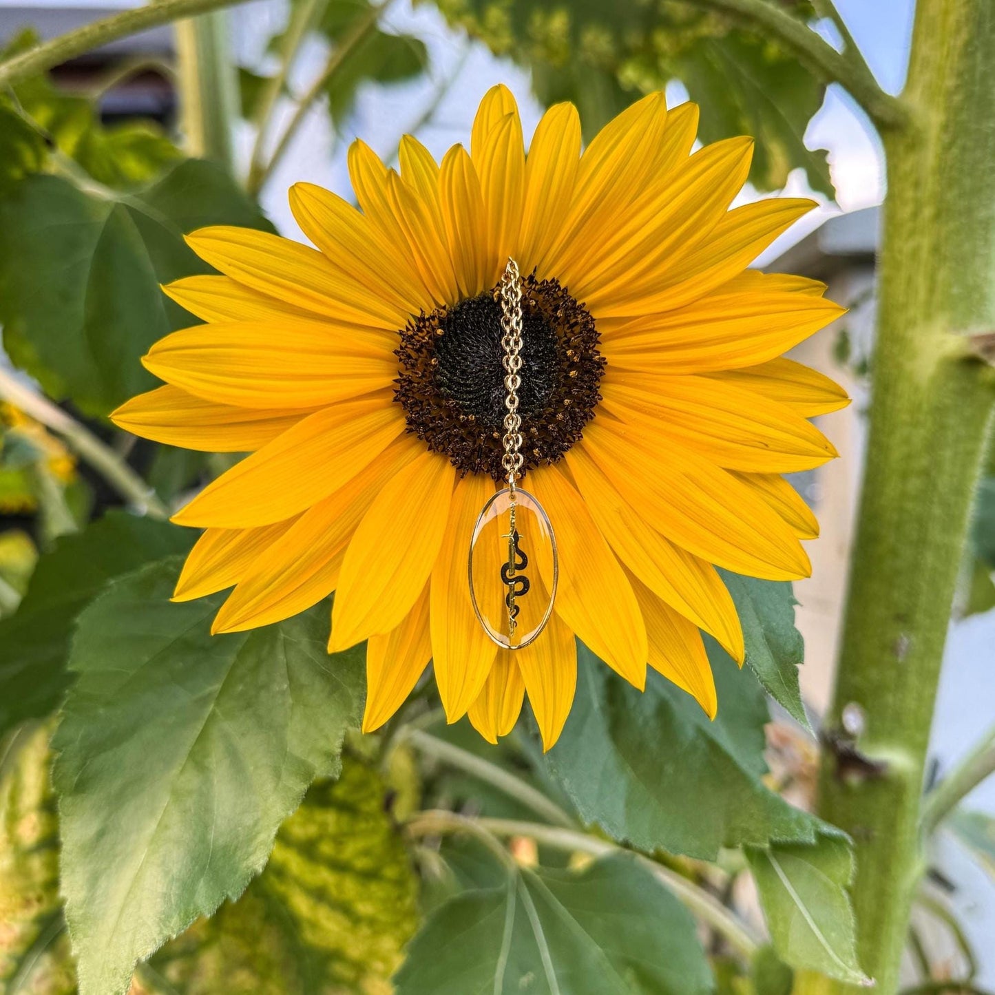 Schlangen-Schwert-Anhänger - Handgemachtes Schmuckstück mit Schlange und Schwert 🐍⚔️