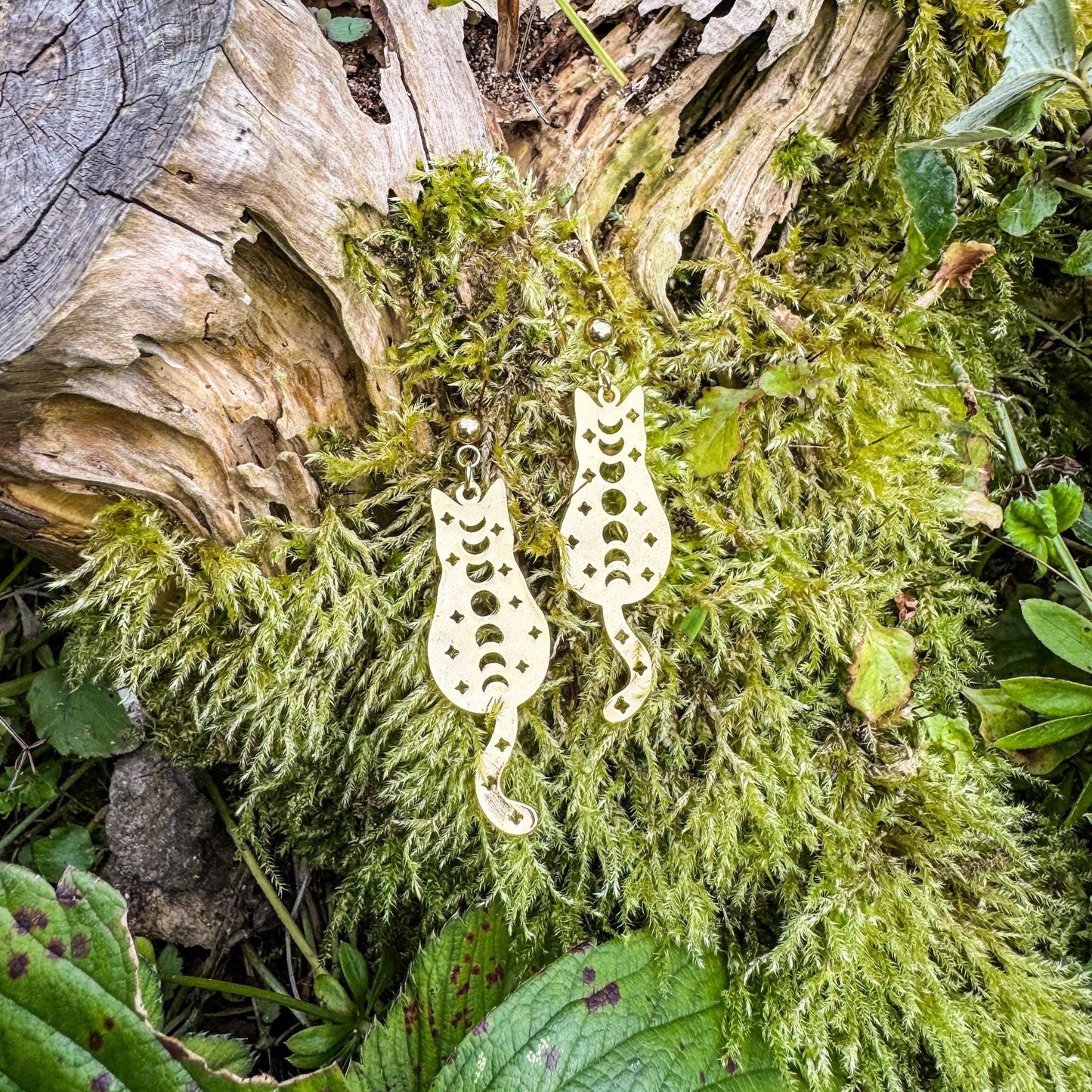 Zauberhafte Katzen-Ohrringe - Magisches Schmuckstück mit Katze und Mondzyklus 🐱✨