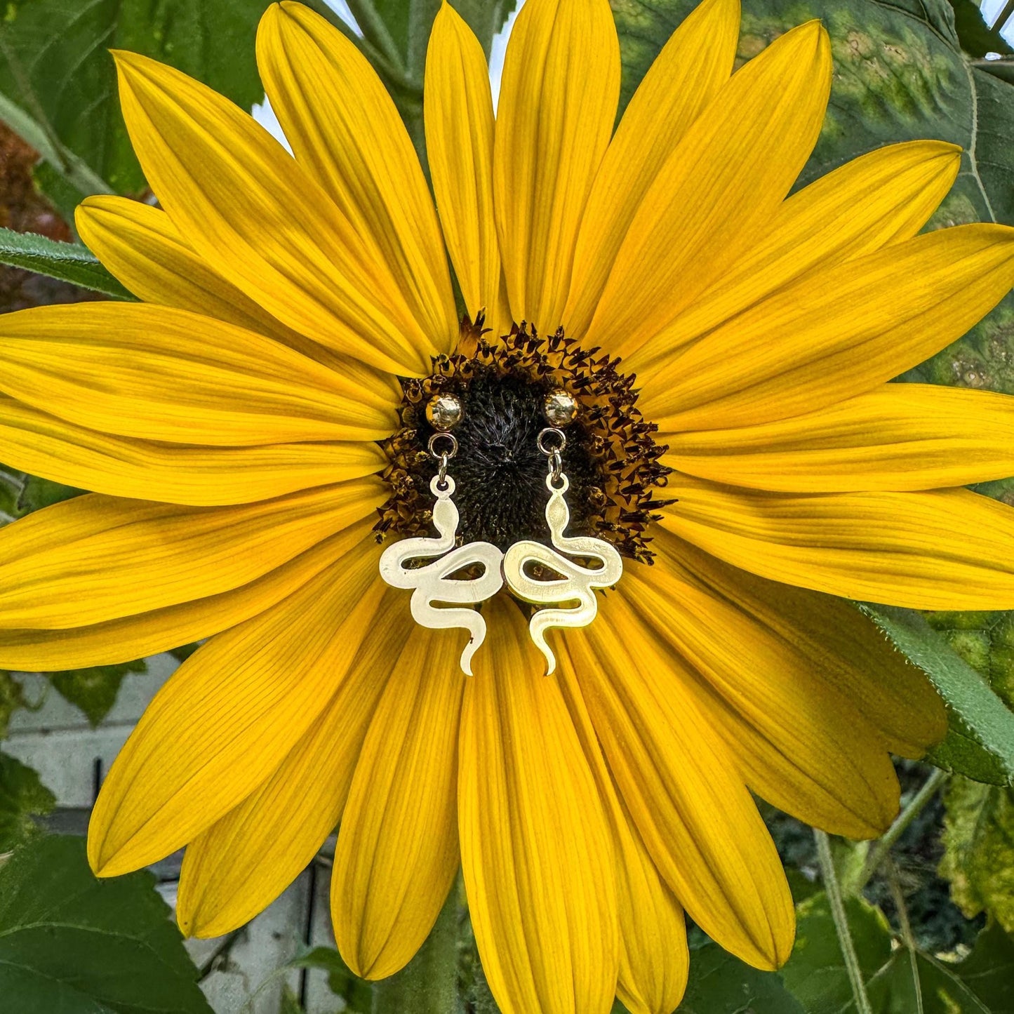 Magische Schlangen-Ohrstecker - Bezauberndes Schmuckstück mit goldener Schlange 🐍✨