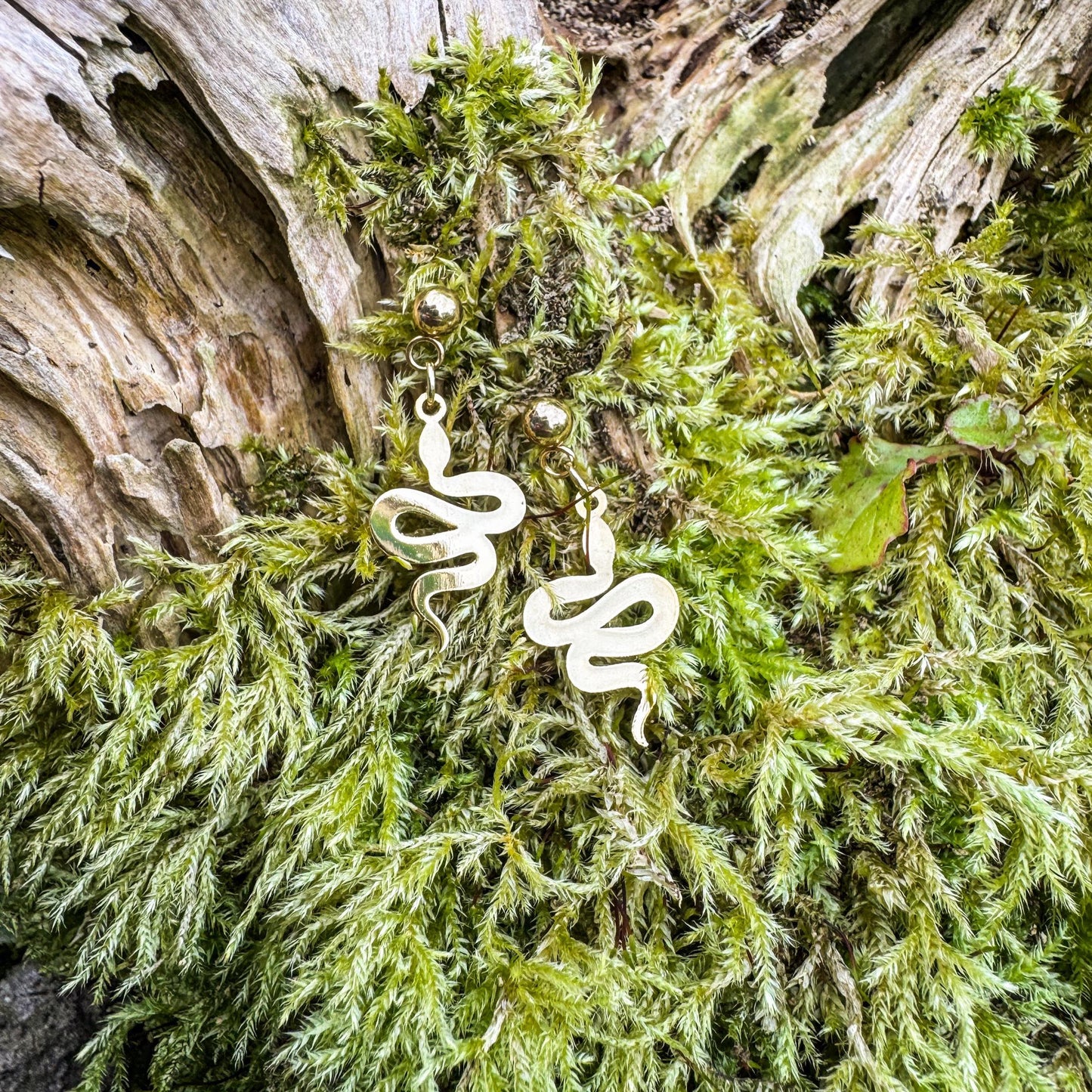 Magische Schlangen-Ohrstecker - Bezauberndes Schmuckstück mit goldener Schlange 🐍✨