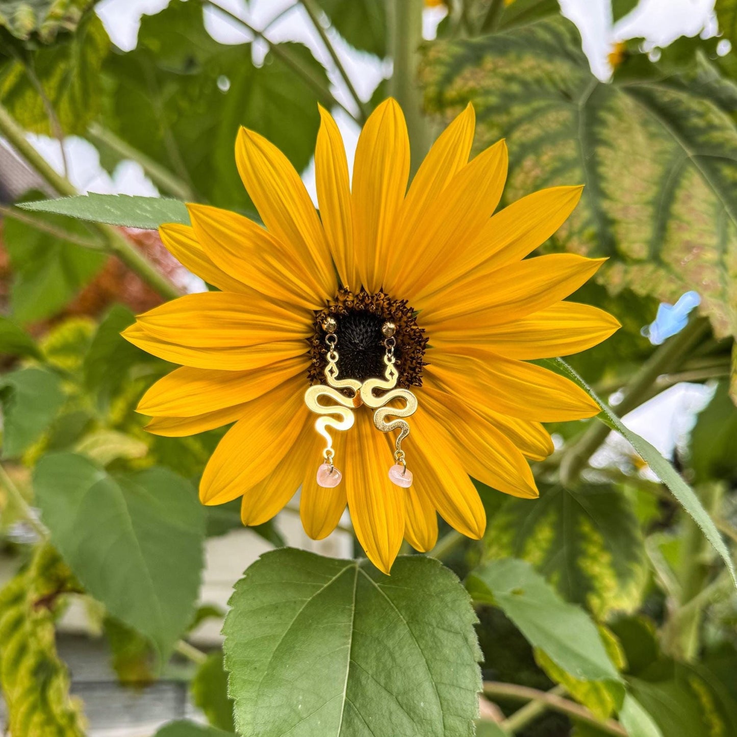 Magische Schlangen-Ohrringe mit Rosenquarz - Bezauberndes Schmuckstück mit goldener Schlange 🐍🩷