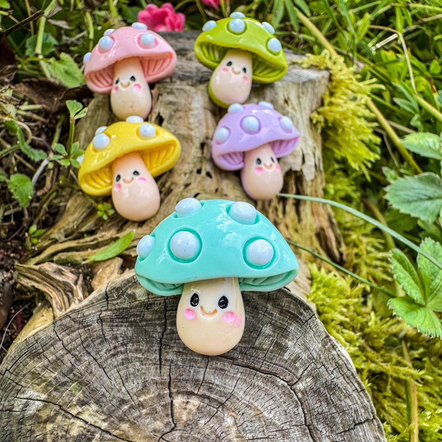 Niedliche Pilz-Magnete - Bunte Freude für dein Zuhause 🍄 - 3er-Set