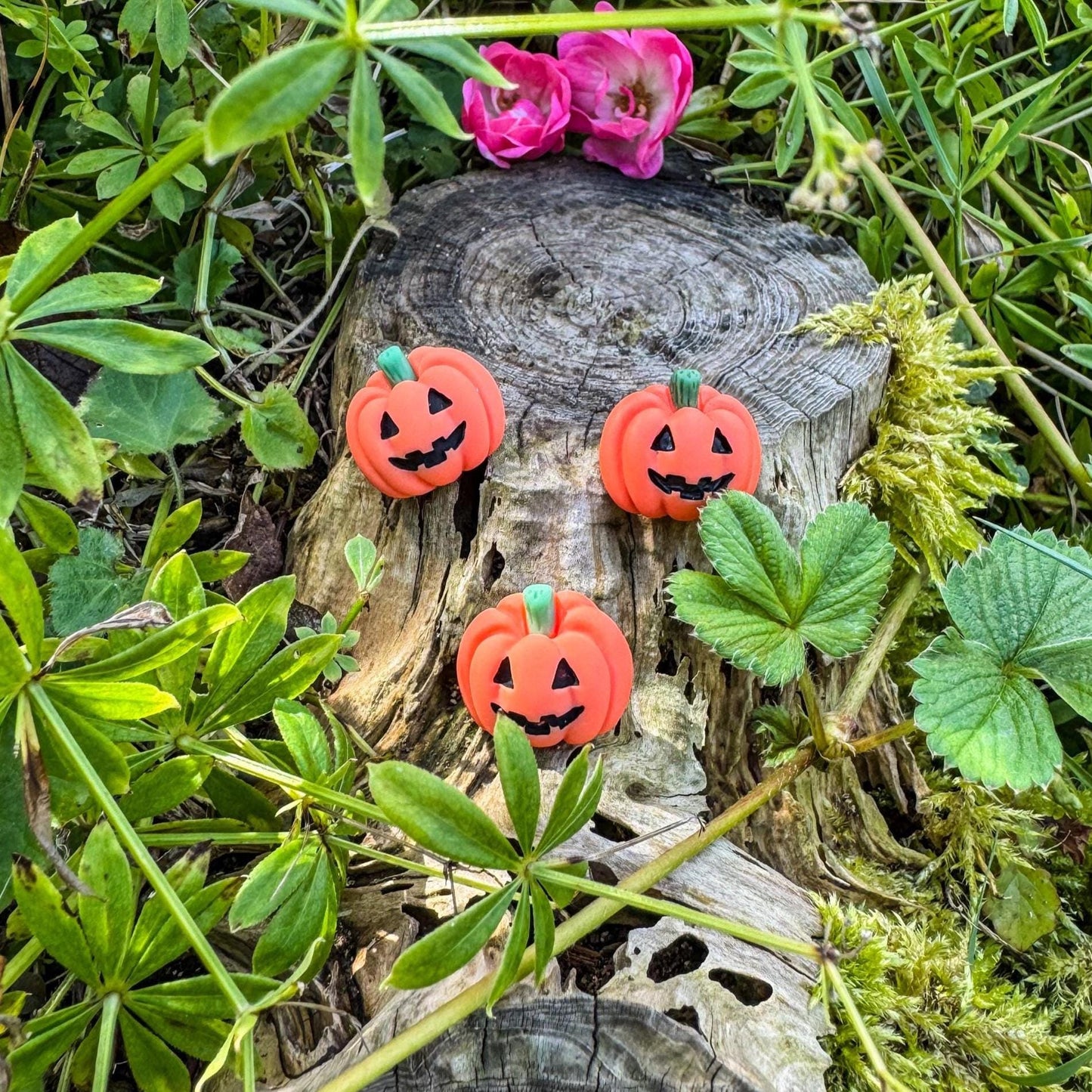 Kleine Kürbis-Magnete - Herbstliches Accessoire für dein Zuhause 🎃 - 3er-Set