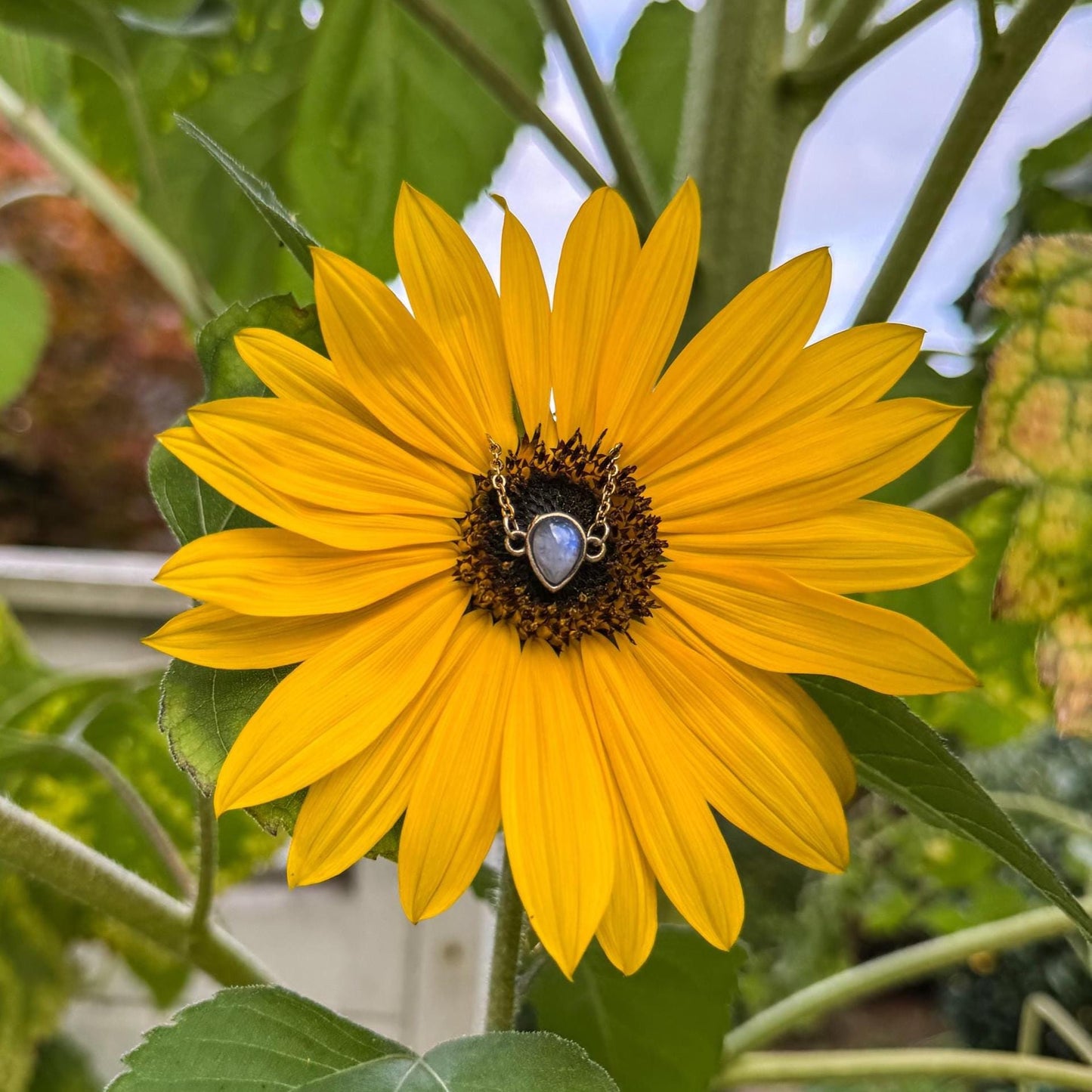 Mondstein-Armband - Zartes Schmuckstück mit natürlichem Mondstein 🤍✨
