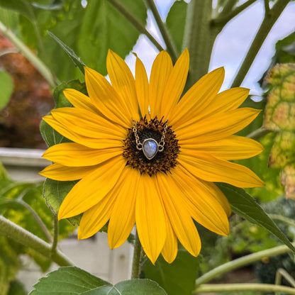 Mondstein-Armband - Zartes Schmuckstück mit natürlichem Mondstein 🤍✨
