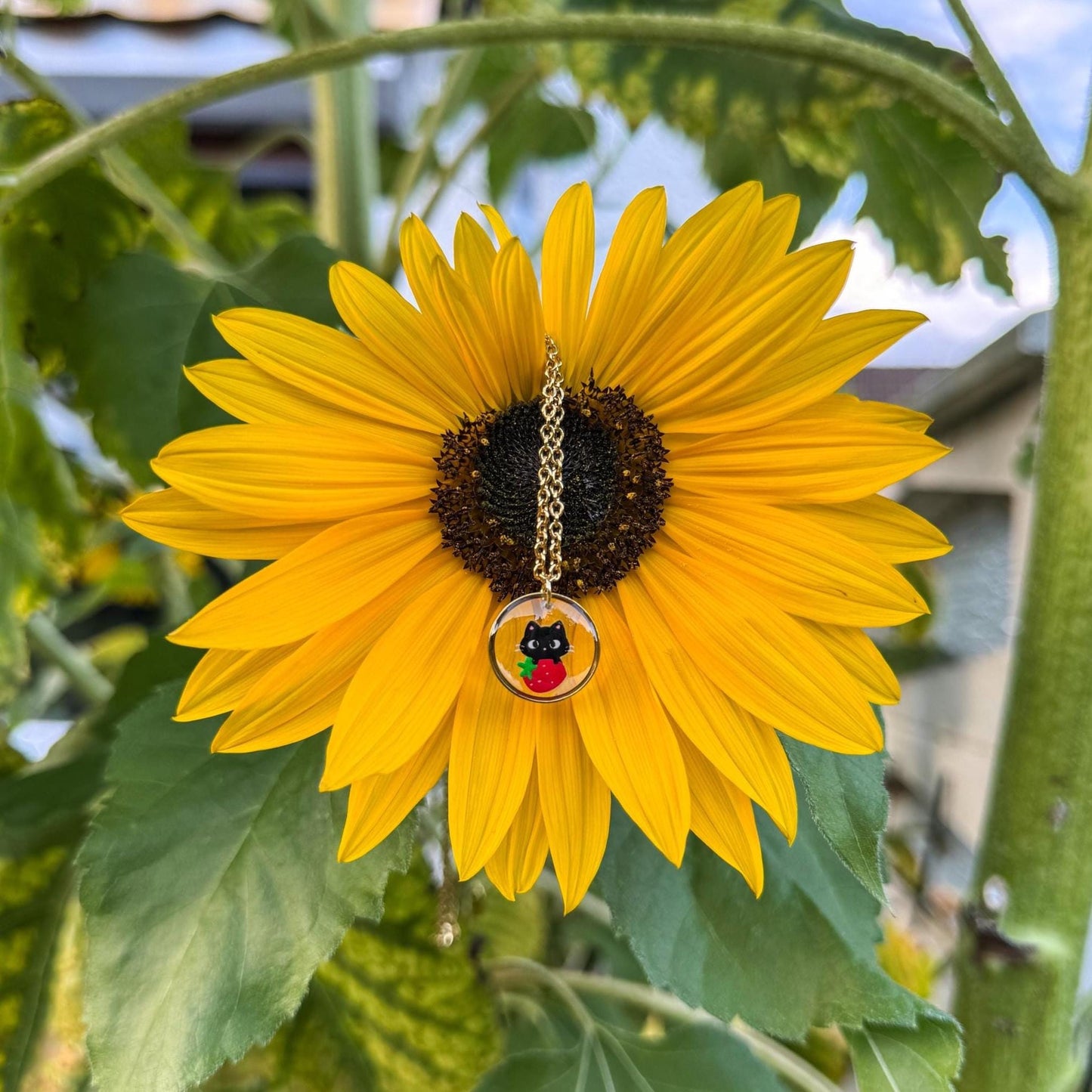 Katzen-Erdbeer-Anhänger - Handgemachtes Schmuckstück mit Kätzchen auf Erdbeere 🍓🐱