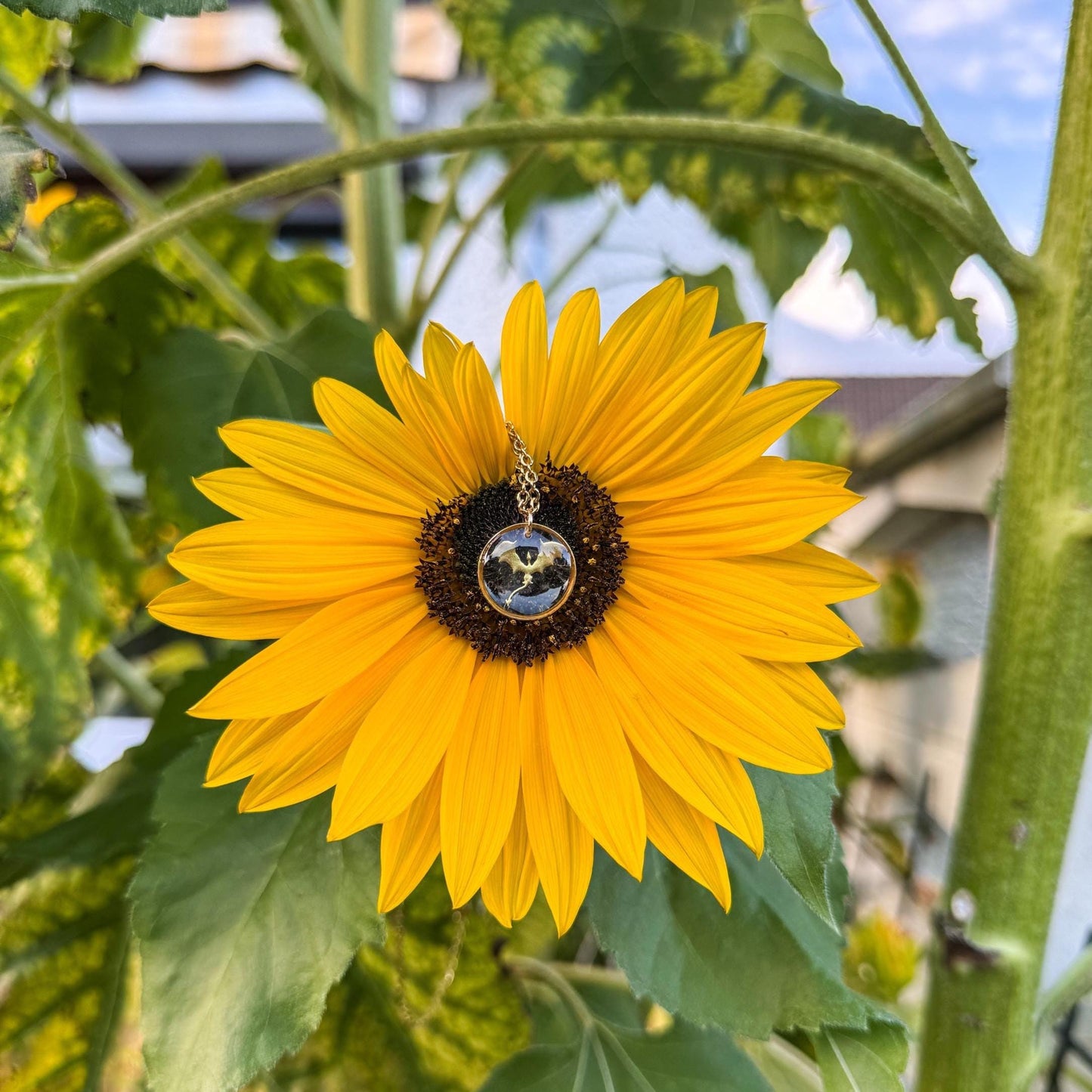 Drachen-Anhänger - Handgemachtes Schmuckstück mit goldenem Drachen 🐉