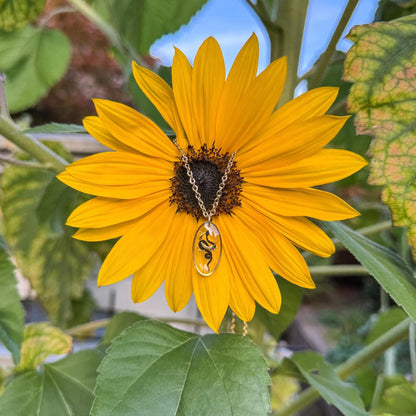 Schlangen-Sichelmond-Anhänger - Handgemachtes Schmuckstück mit Schlange und Sichelmond 🐍🌙