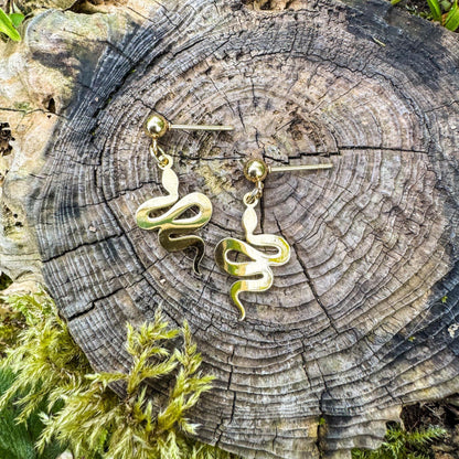 Magische Schlangen-Ohrstecker - Bezauberndes Schmuckstück mit goldener Schlange 🐍✨